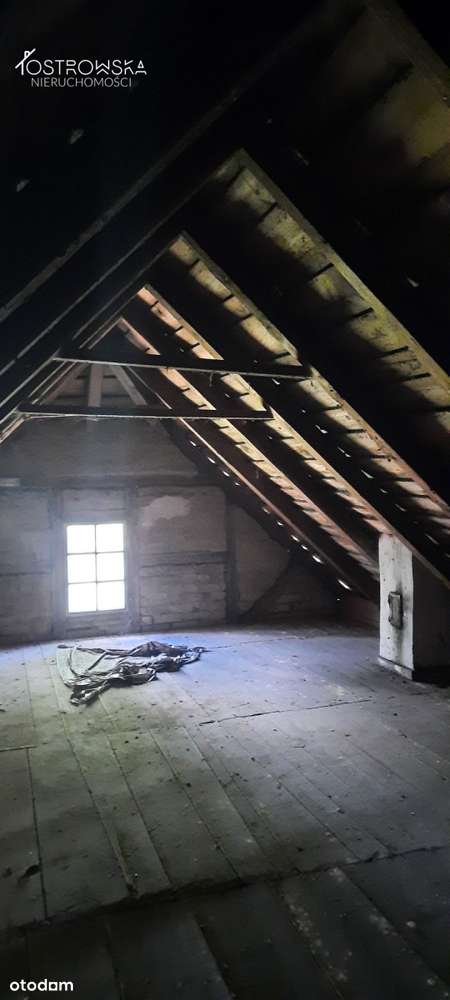 Duży dom/ogród  4109 m2/warmińsko-mazurskie - Pełny obrazek: 4/20