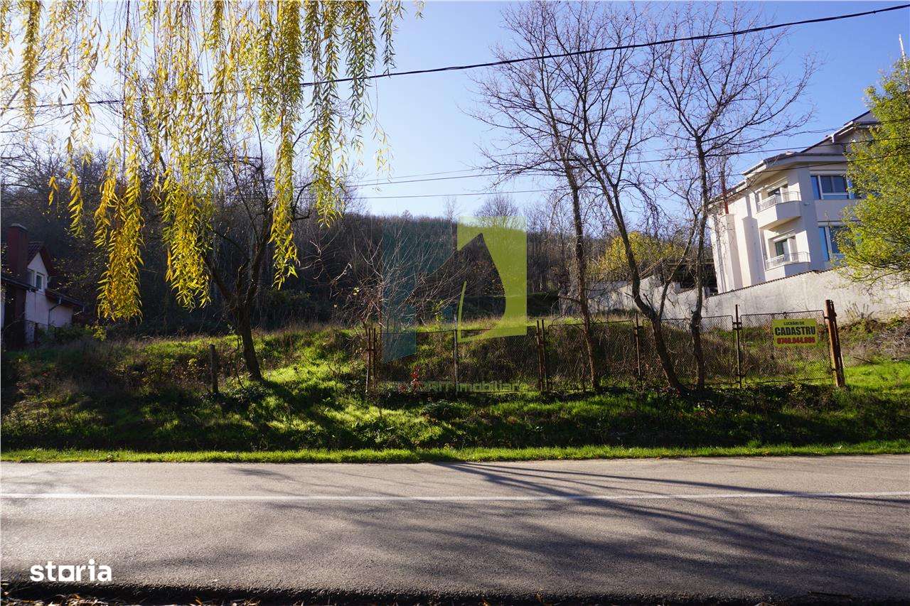 Teren de vanzare in Leamna de Jos-6