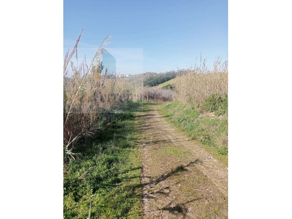 Terrenos rústicos com uma área total de 7.600 m2 situado na Atalaia - Grande imagem: 4/7