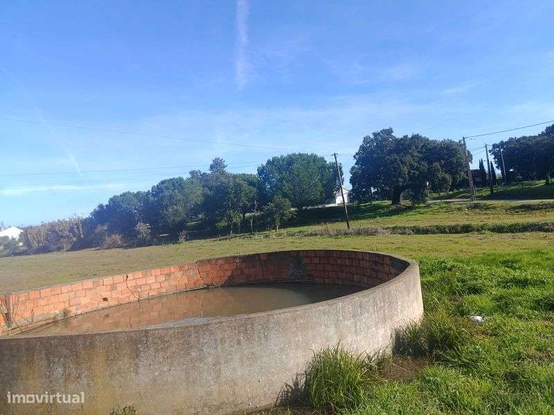 Vendo Foz Bemposta Quinta 8587 m2 urbano - Grande imagem: 5/12