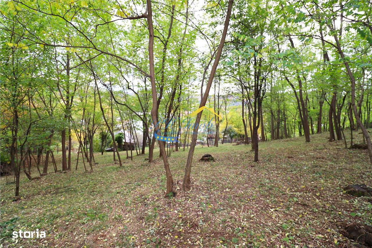 Casa de vanzare Alunis, Prahova-11