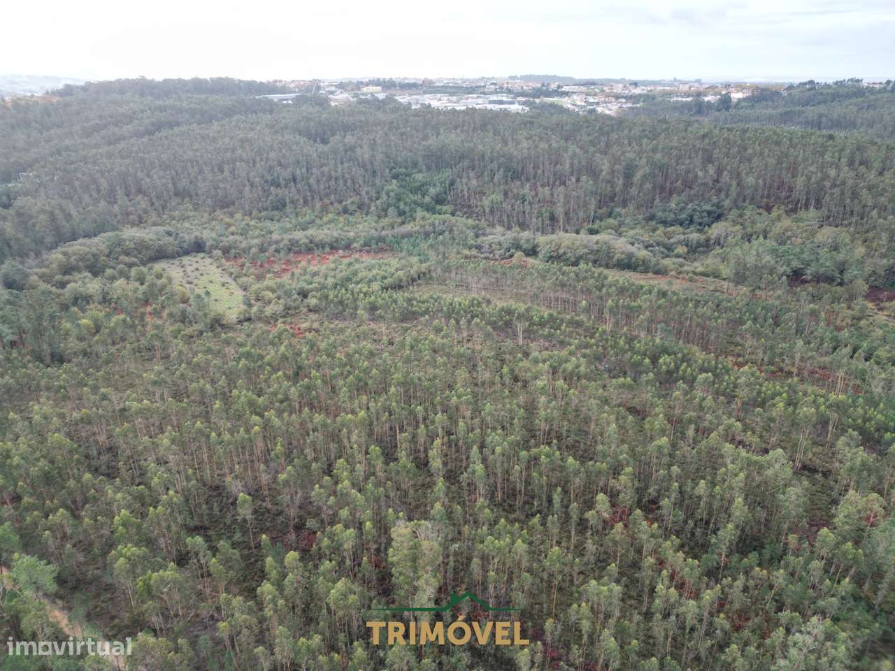 Terreno Rústico  Venda em Milheirós de Poiares,Santa Maria da Feira - Grande imagem: 3/10