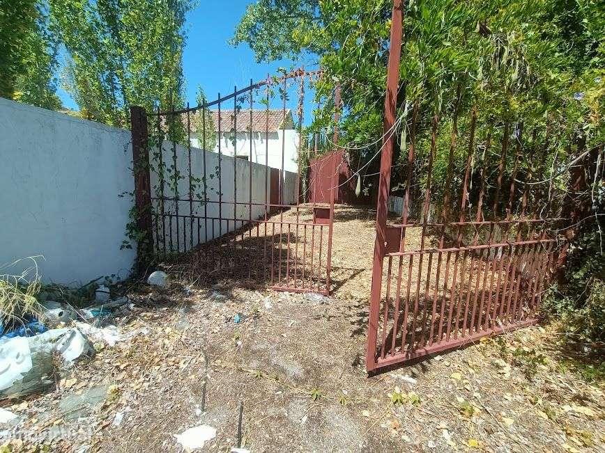 Quintinha em plena lezíria ribatejana, ideal para projeto turístico! - Grande imagem: 5/36