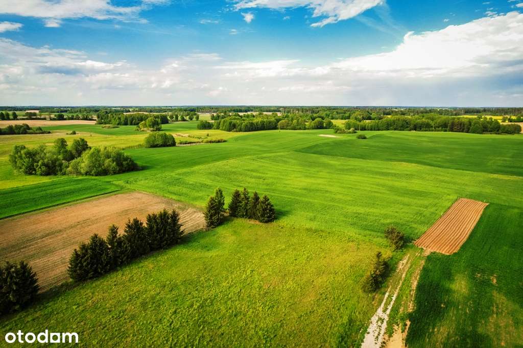 Działki z widokiem oraz dostępem do jeziora Selmęt Wielki-10