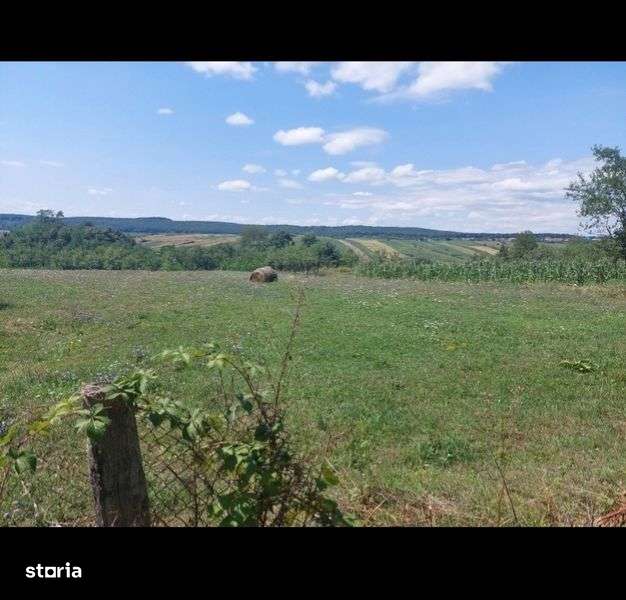 Teren pt casa 3100 mp Lazareni intrav - Imagine principală: 5/7