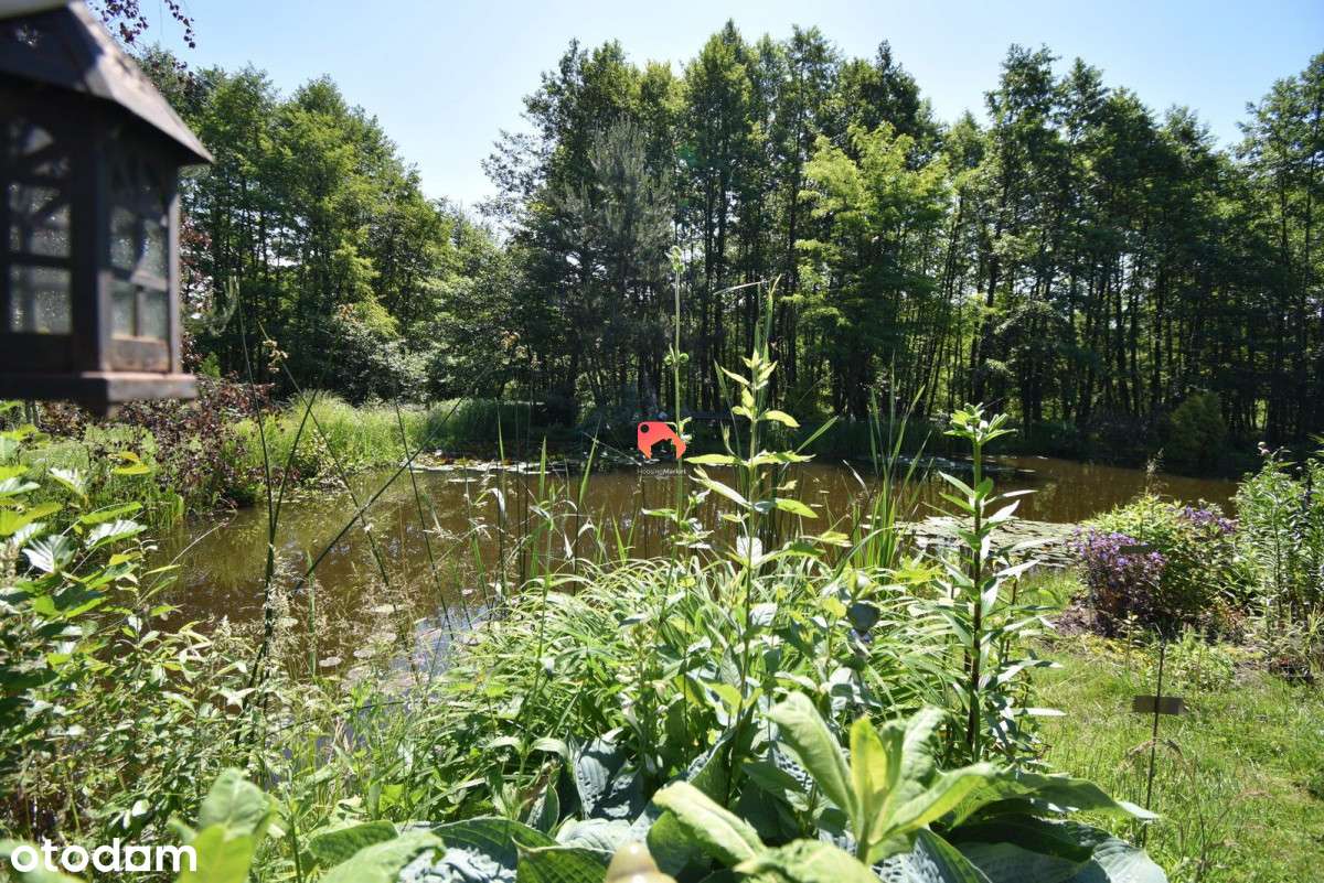 Działka Budowlana Z Pięknym Ogrodem I Stawami !!! - Pełny obrazek: 4/20