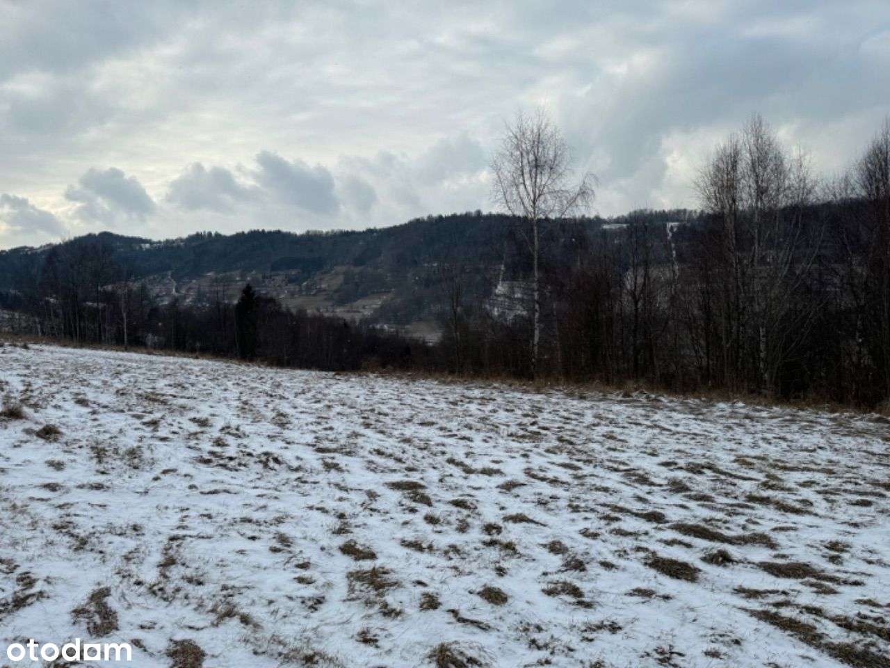 Działka z pięknymi widokiem, okazja! - Pełny obrazek: 5/7