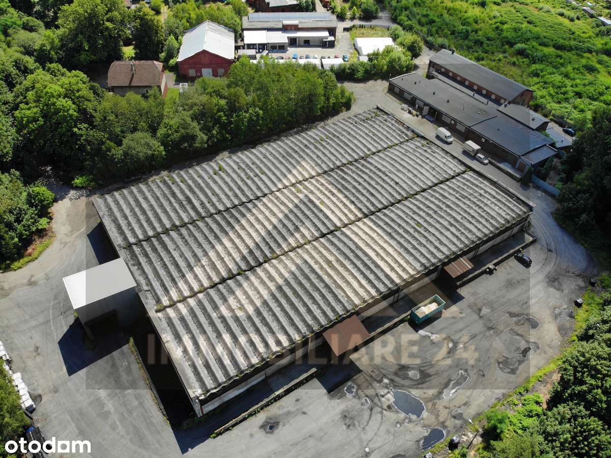 Hala magazynowo-produkcyjna 4 799 m² Ruda Śląska, inwestycja z najemcą - Pełny obrazek: 4/15