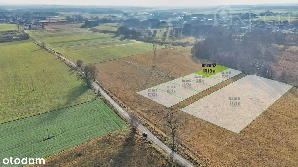 Stargard- Rogowo działka o pow. 7791 m2 - Pełny obrazek: 5/14