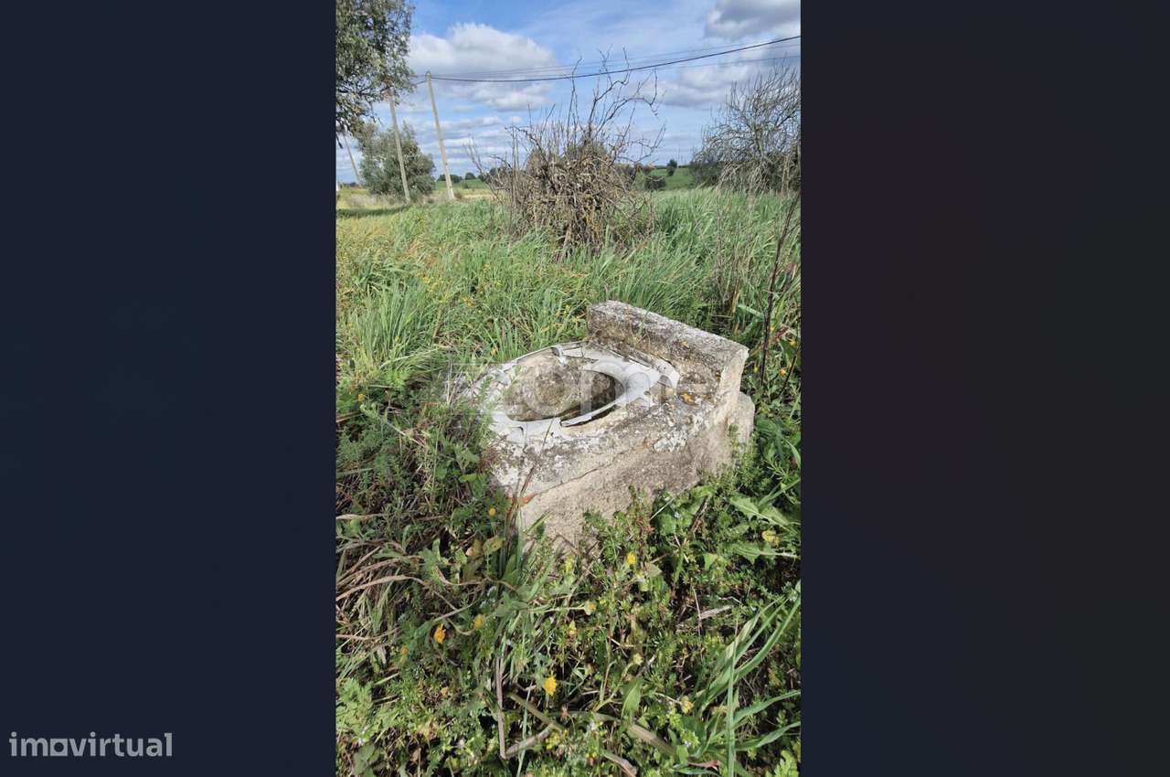 Quinta em Ferreira do Alentejo - Gasparões - Grande imagem: 5/18