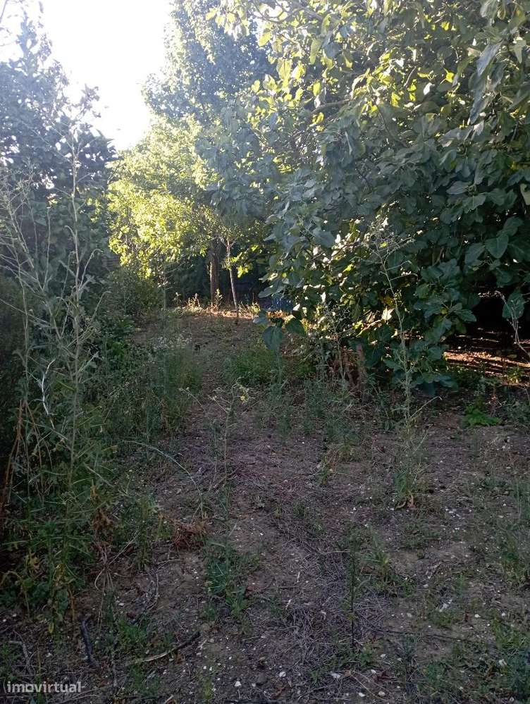 Terreno Rústico com Potencial Futuro em Fetais - Camarate - Grande imagem: 4/4