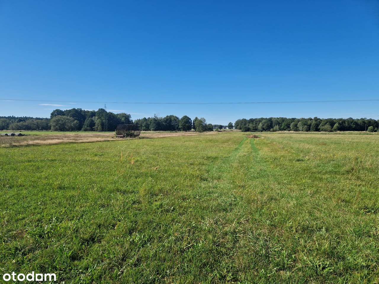 Dobrodzień, uroczy dom pod lasem - Pełny obrazek: 3/14