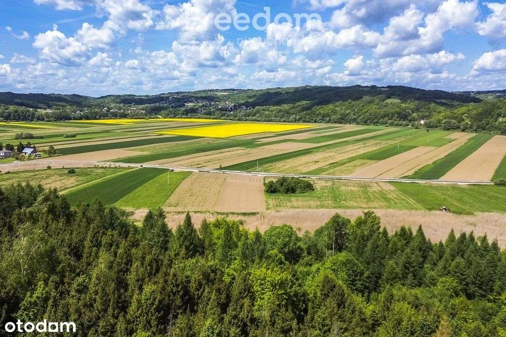 Działka 79 ar z Wz w Bachowie, gm. Krzywcza - Pełny obrazek: 2/13