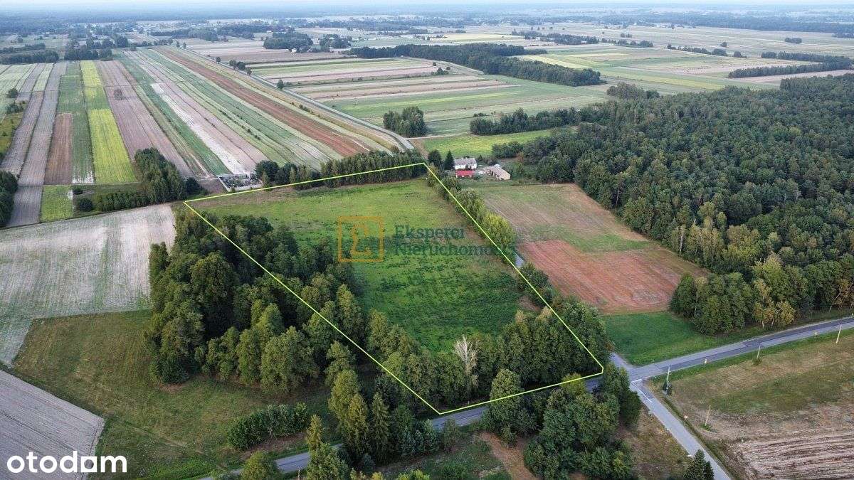 Ponad 3 hektary w jednym kawałku, Rvi, 1416 zł/ ar-6