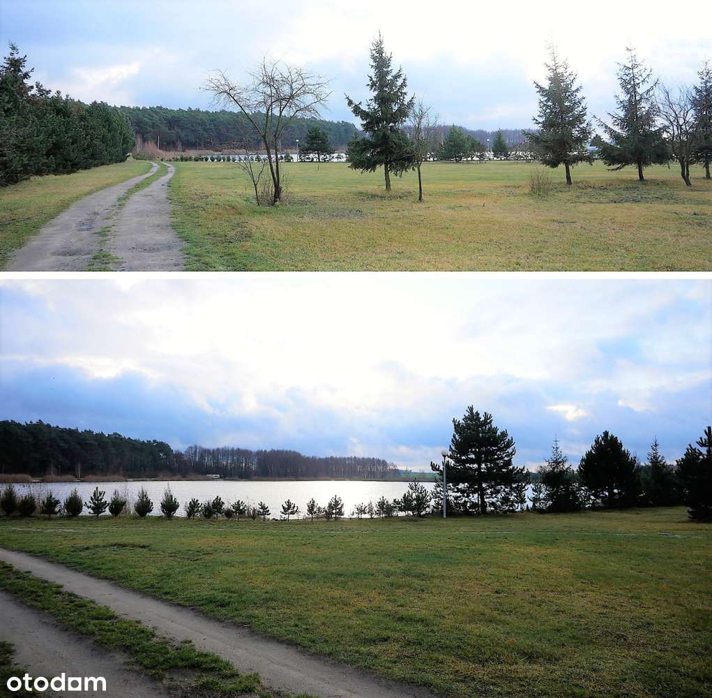 Działka z zarybionym stawem 13310m2 Stroszki - Pełny obrazek: 5/6