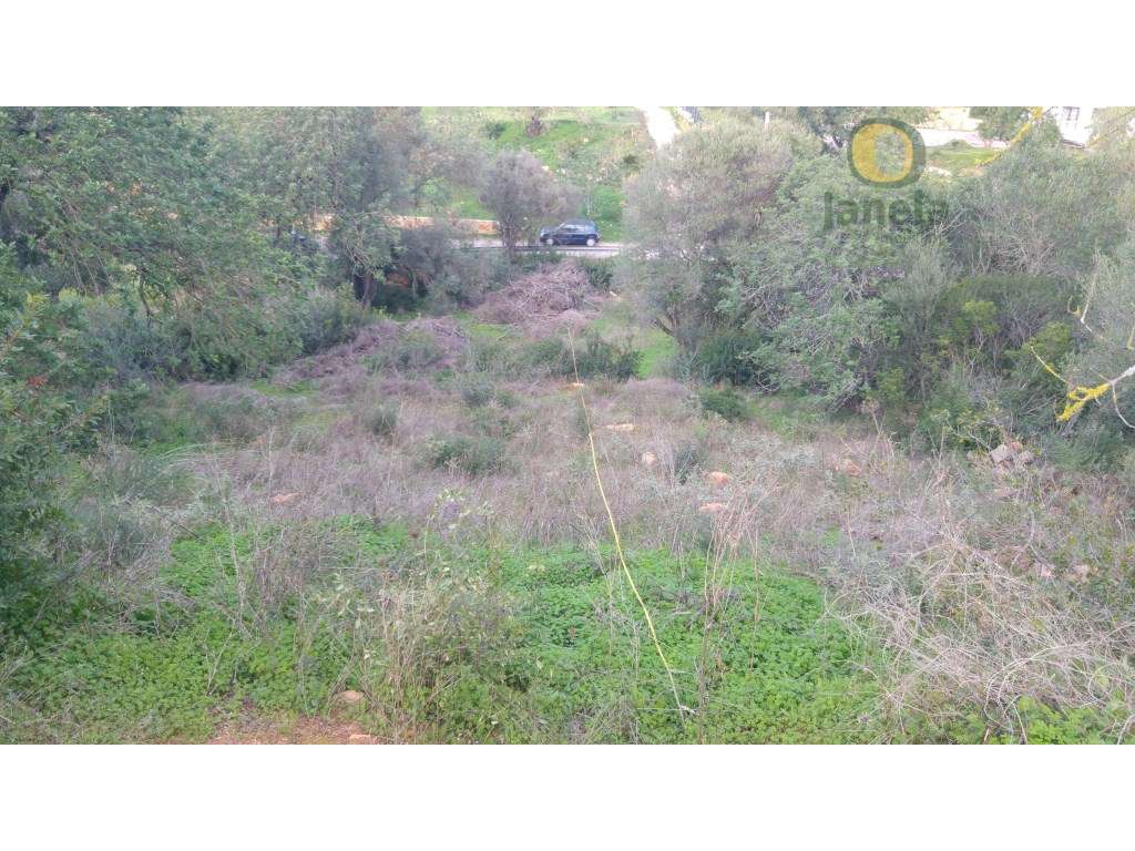 Terreno Venda Olhão - Grande imagem: 2/6