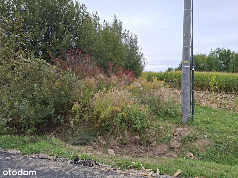 Działka budowlana 35-arowa k/ Krakowa - Pełny obrazek: 5/5