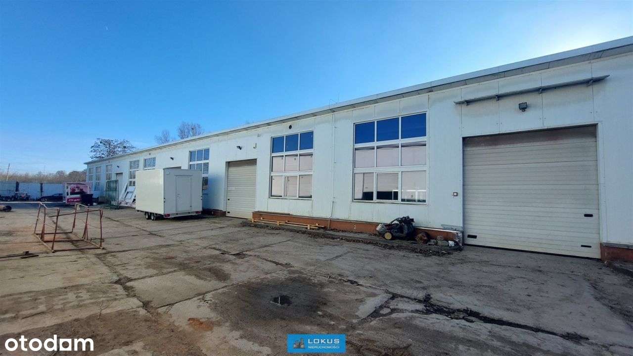 Hale produkcyjne magazynowe i biurowiec Łódź - Pełny obrazek: 5/20