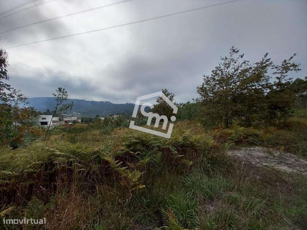 Terreno com Potencial Construtivo em Vandoma – Paredes-8