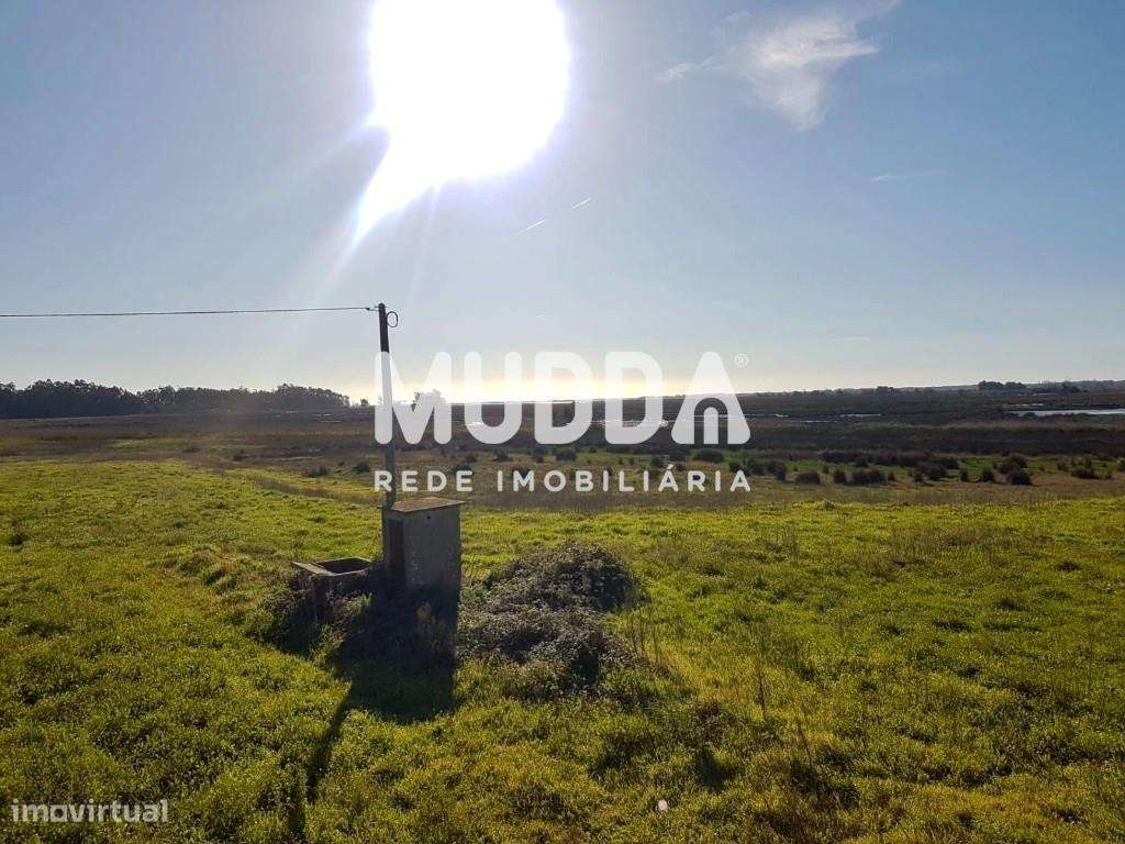 Quintinha T3 Duplex em Válega, Ovar. - Grande imagem: 4/9