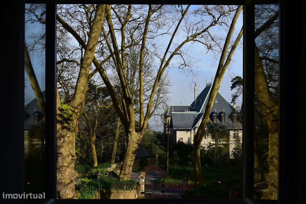 Quinta com área total de terreno 7.650m2-12