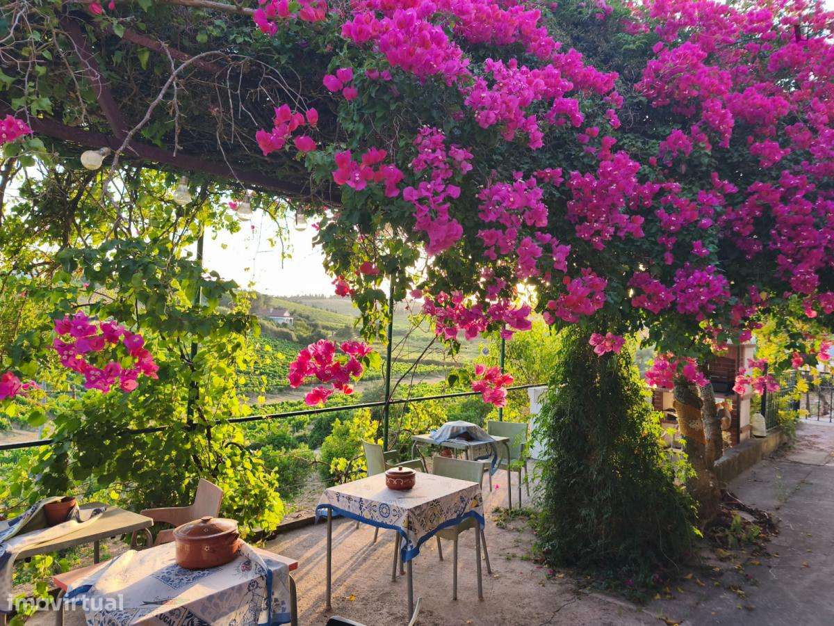 Casa com 2 quartos - localizado em Santarem - Grande imagem: 4/6