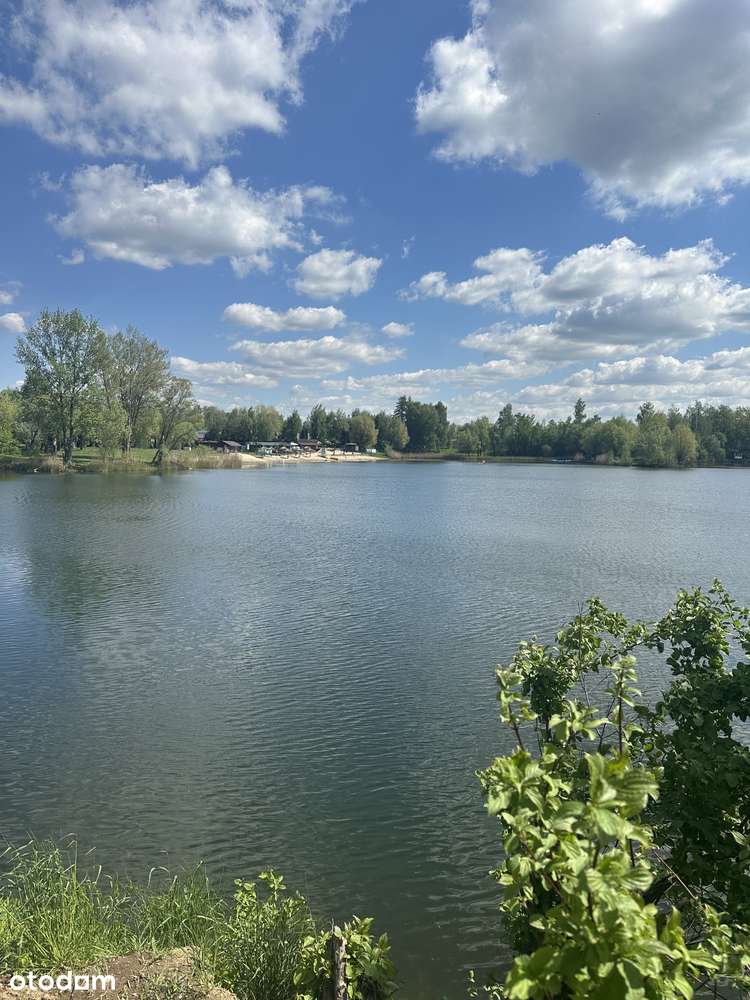 działka OLZA pierwsza linia brzegowa nad jeziorem - Pełny obrazek: 5/10