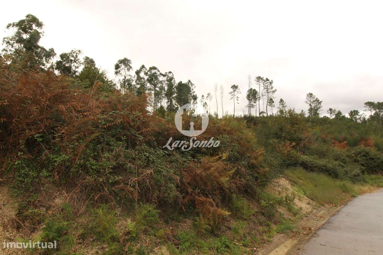 Terreno Venda Agilde Celorico de Basto - Grande imagem: 4/8