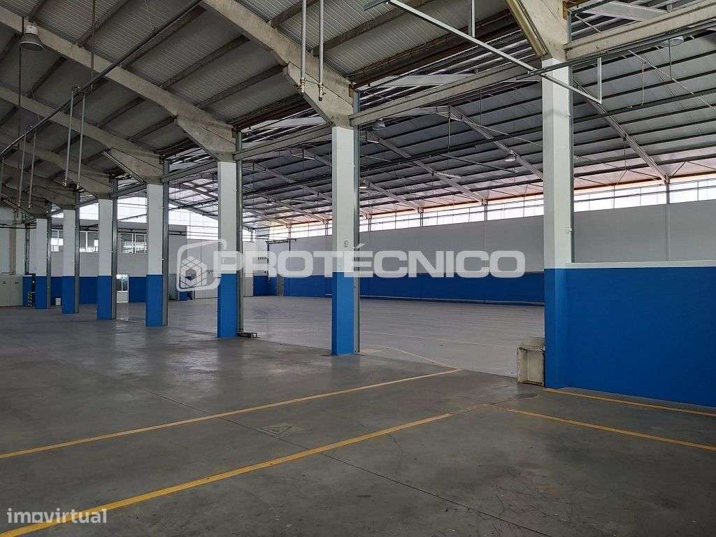 Armazém p/ Indústria – Águeda - Grande imagem: 5/13