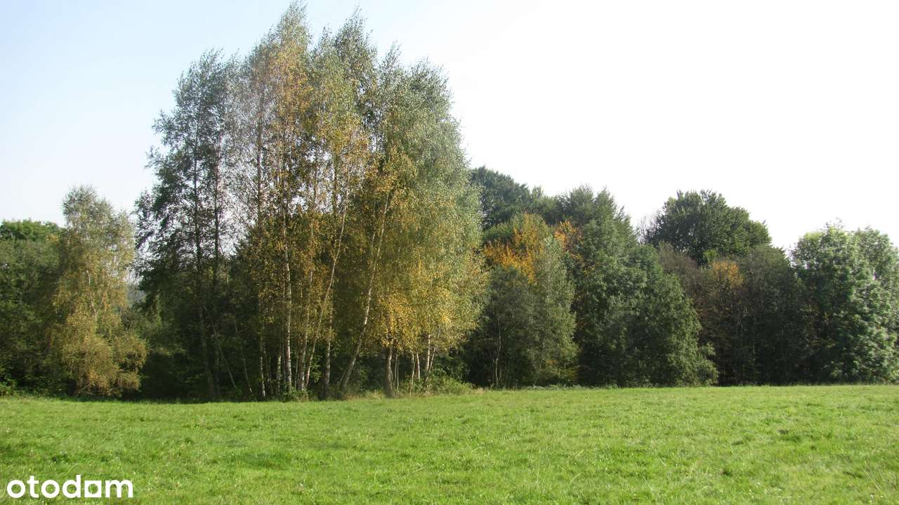 Siedlisko w Bieszczadach-11