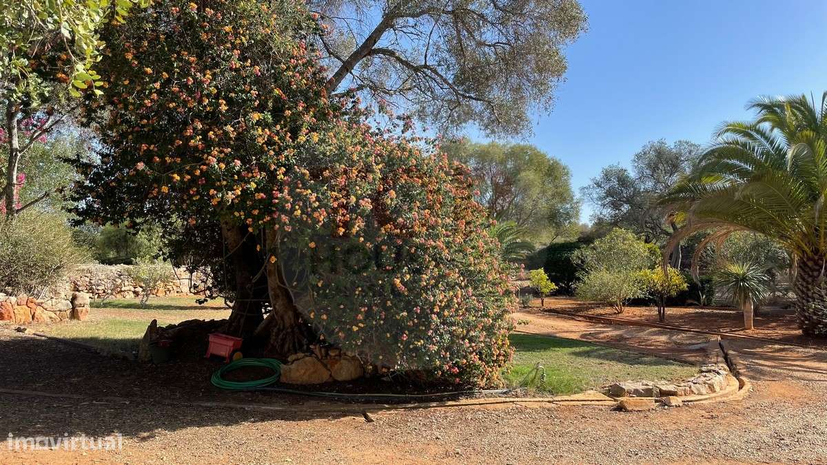 Moradia T5 isolada em Tavira - Grande imagem: 4/16