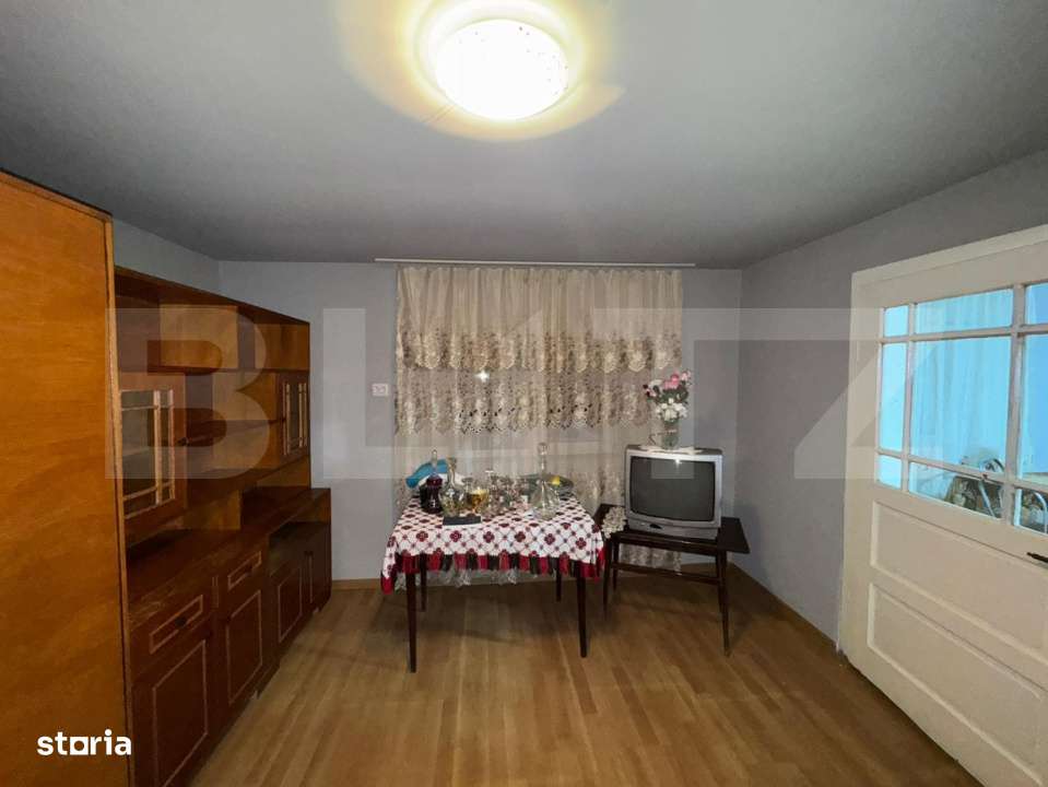 Casa cu 4 camere, 117 mp, teren generos de 5594 mp, in Criscior - Imagine principală: 4/19