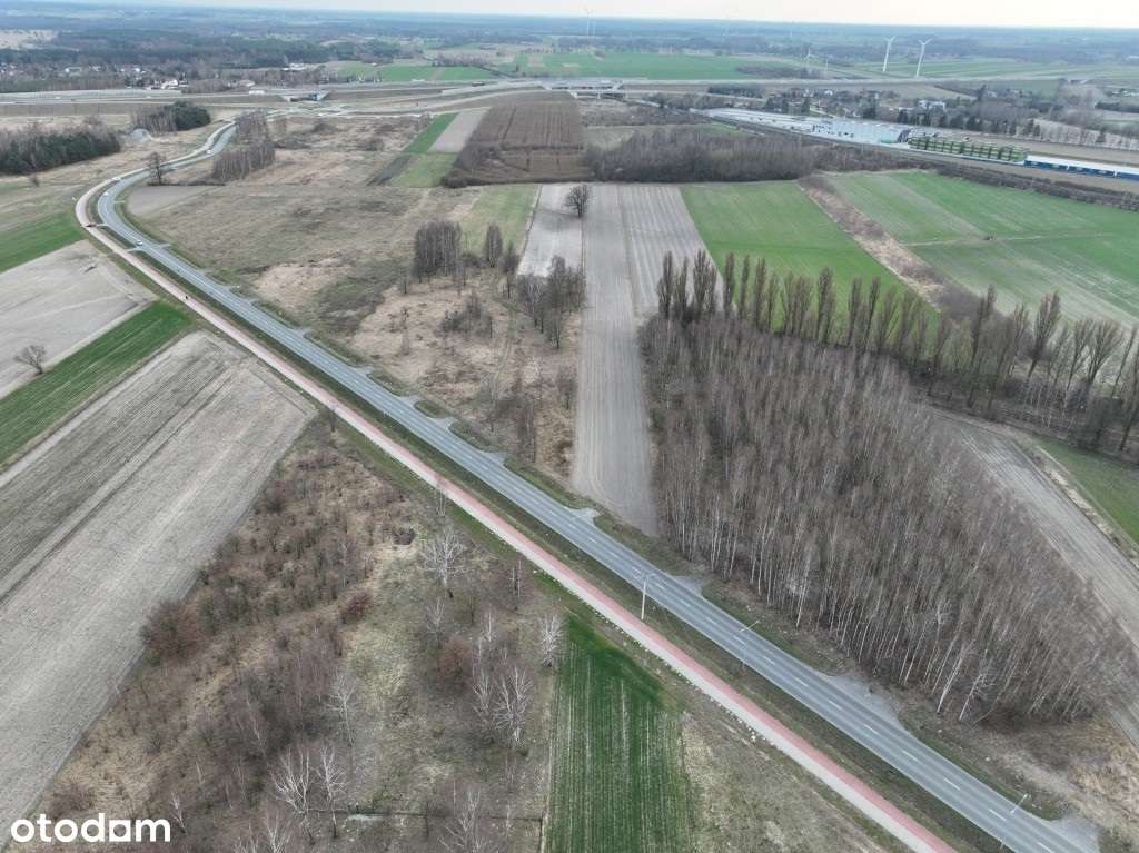 Działka inwestycyjna o powierzchni 3 ha - Pełny obrazek: 5/7