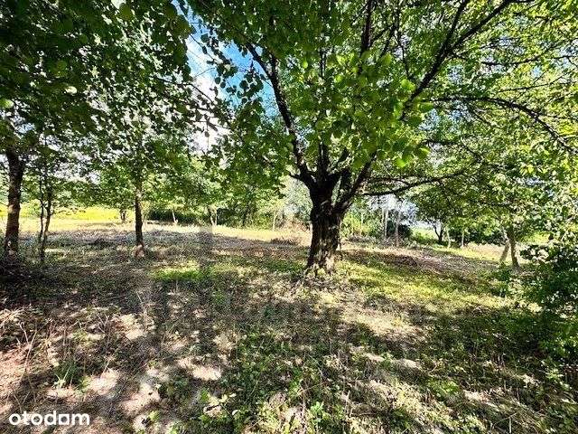 Działka budowlano-rolna niedaleko Kazimierza-5