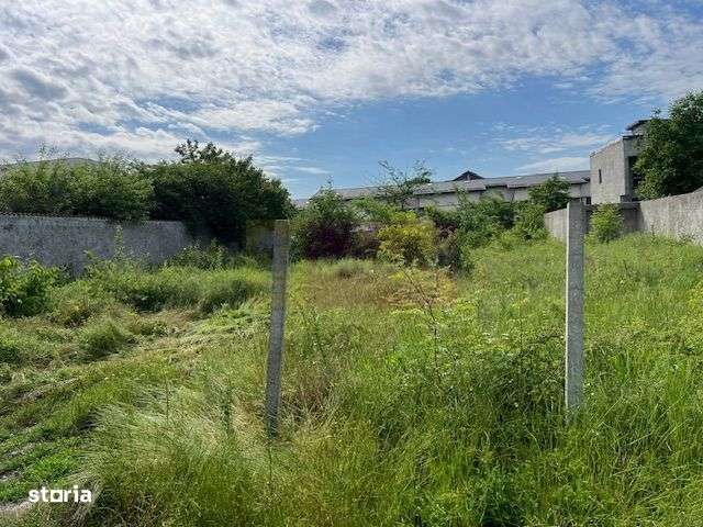 Teren Ghencea- Dantelei- Darvari. - Imagine principală: 3/4