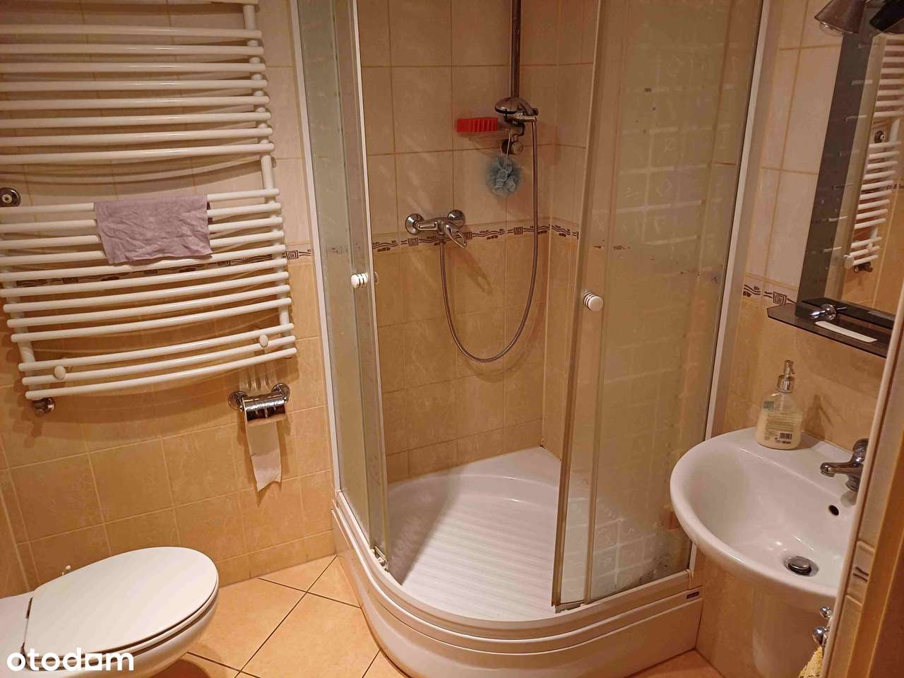 ATRAKCYJNA CENA - na sprzedaż duży dom wolnostojący 265 m2-9