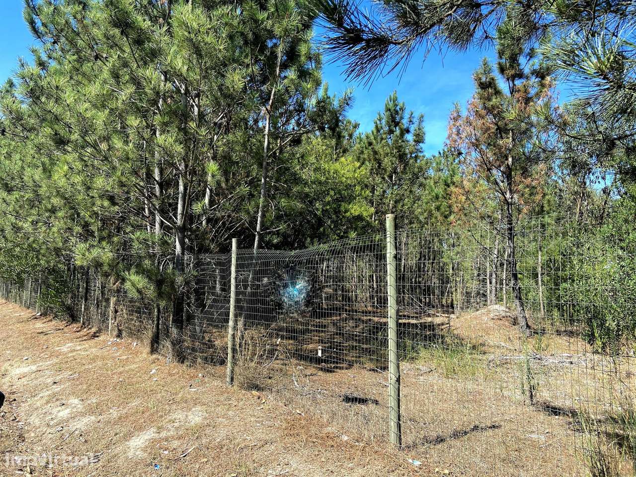 Urban land/Land em Coimbra, Figueira Da Foz REF:4925 - Grande imagem: 4/11