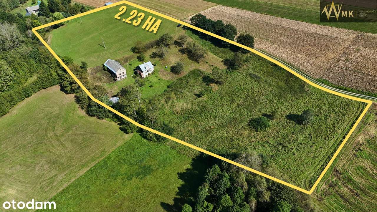 Dom z potencjałem i dużą działką w Lubczy!-2