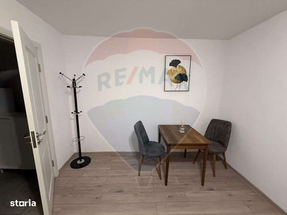 Apartament 2 Camere De Inchiriat- Victoriei - Imagine principală: 2/14