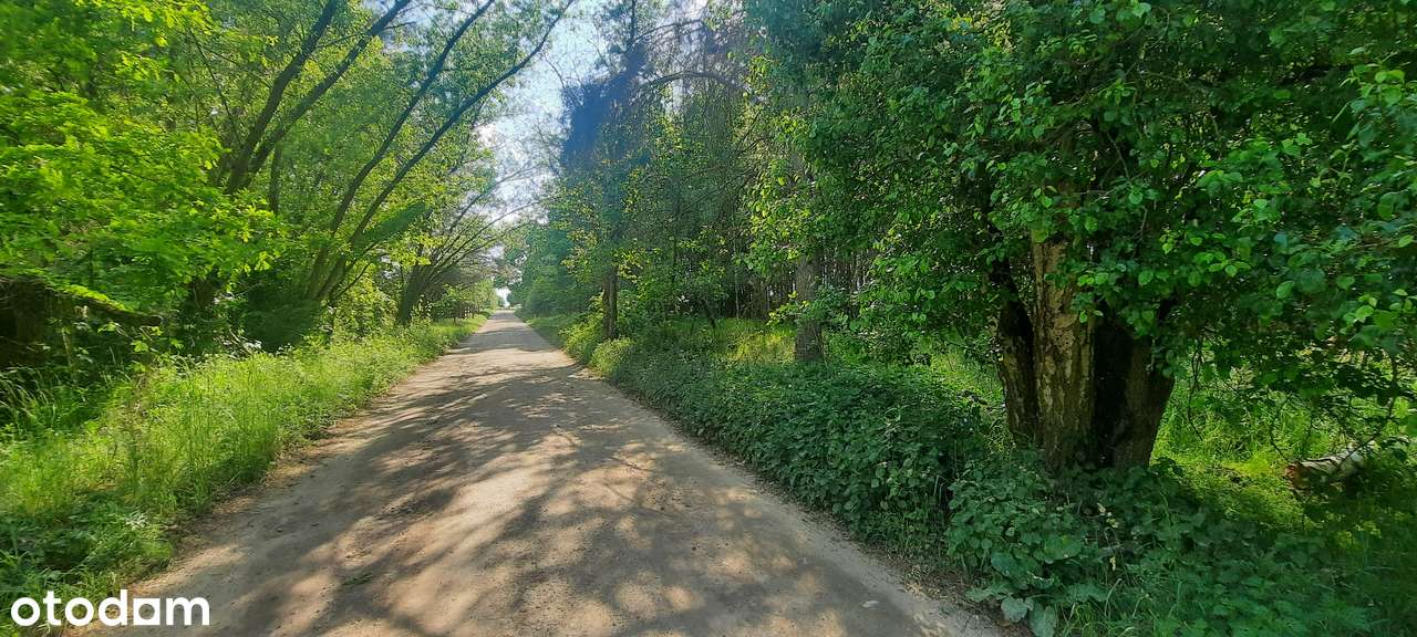 Działka SIEDLISKOWA 1MR 40km od Poznania lasy  jezioro, stadnina koni-13