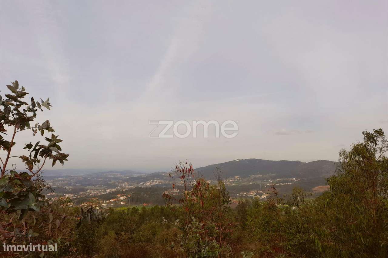 Terreno Florestal sito em Guimarei! - Grande imagem: 4/15