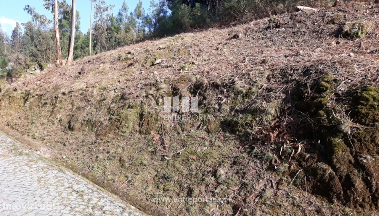 Venda Terreno,Santa Leocádia, Baião