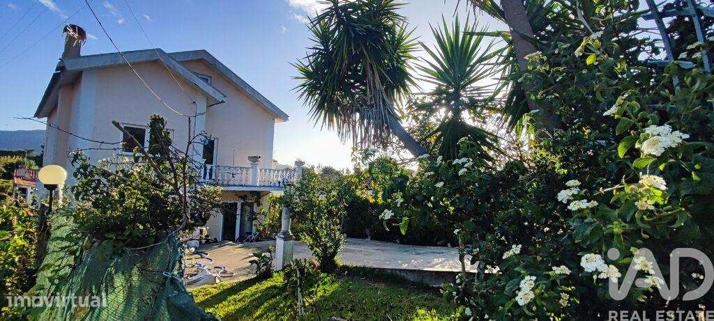 Moradia isolada T4 em Seixas de 250 m2 - Grande imagem: 2/29