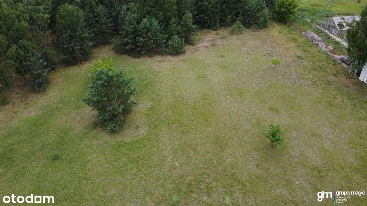 Działka, 9 300 m², Brzoza - Pełny obrazek: 5/13