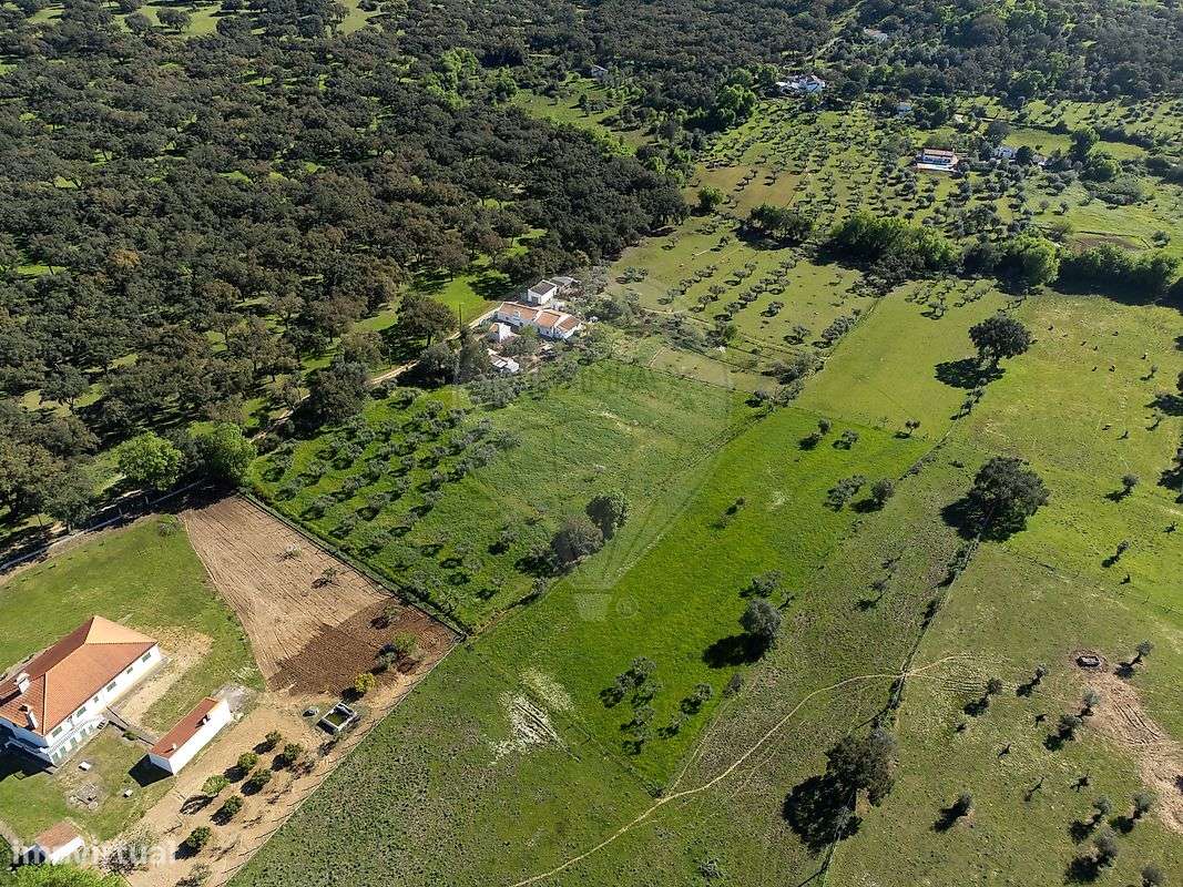 Quinta T6 para venda-12