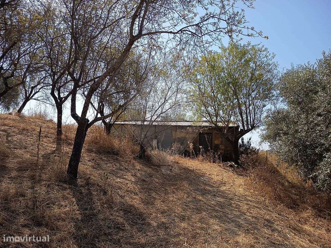 Terreno  para venda - Grande imagem: 5/5