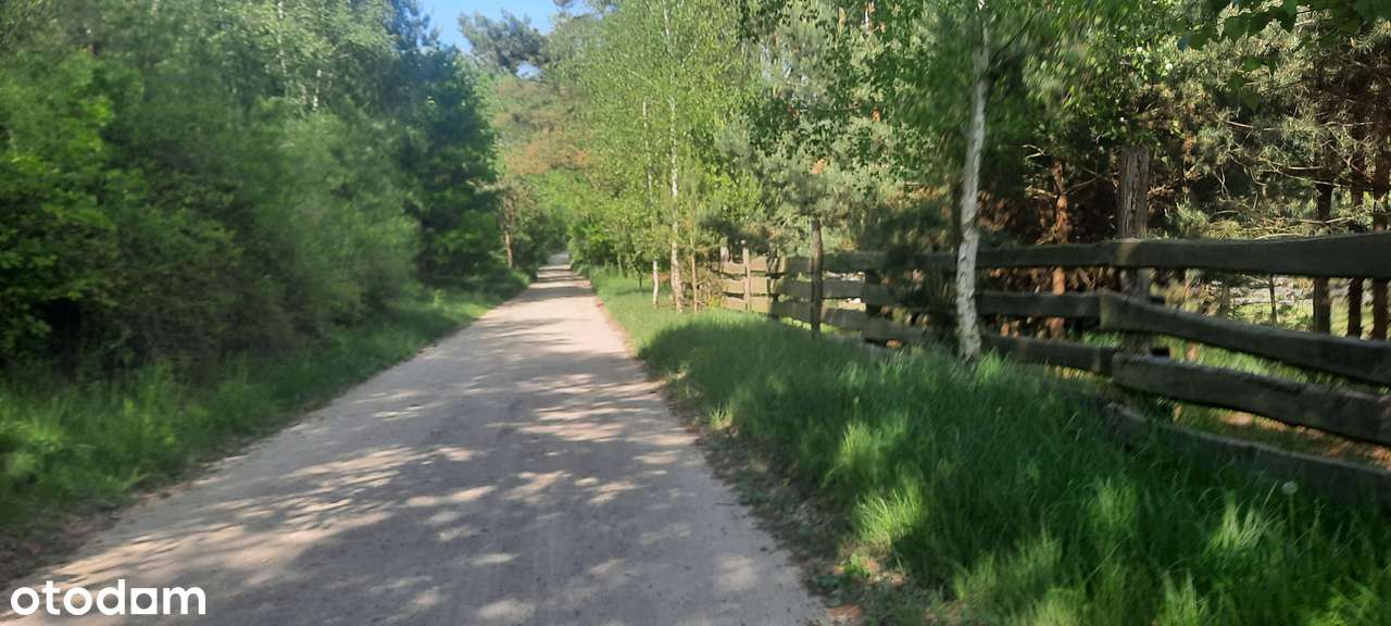 Działka SIEDLISKOWA 1MR 40km od Poznania lasy  jezioro, stadnina koni-11