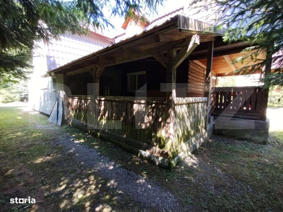 Cabana 4 camere Lunca Bradului - Imagine principală: 4/19