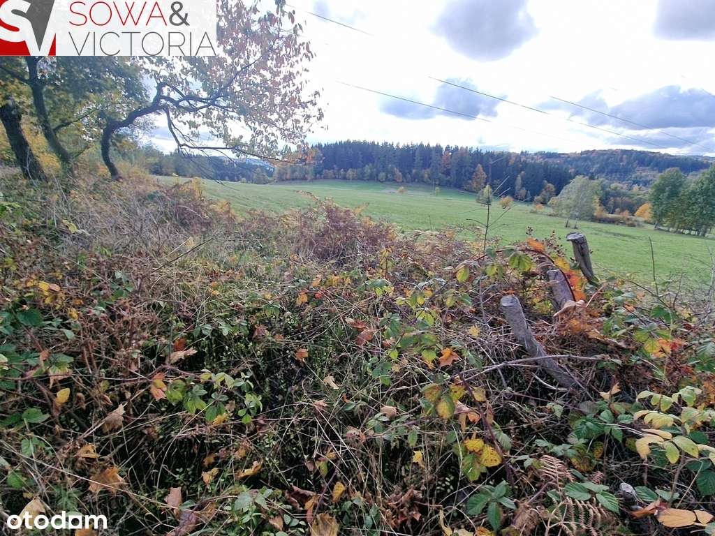 Z widokiem na góry, z możliwością WZ - Pełny obrazek: 5/12