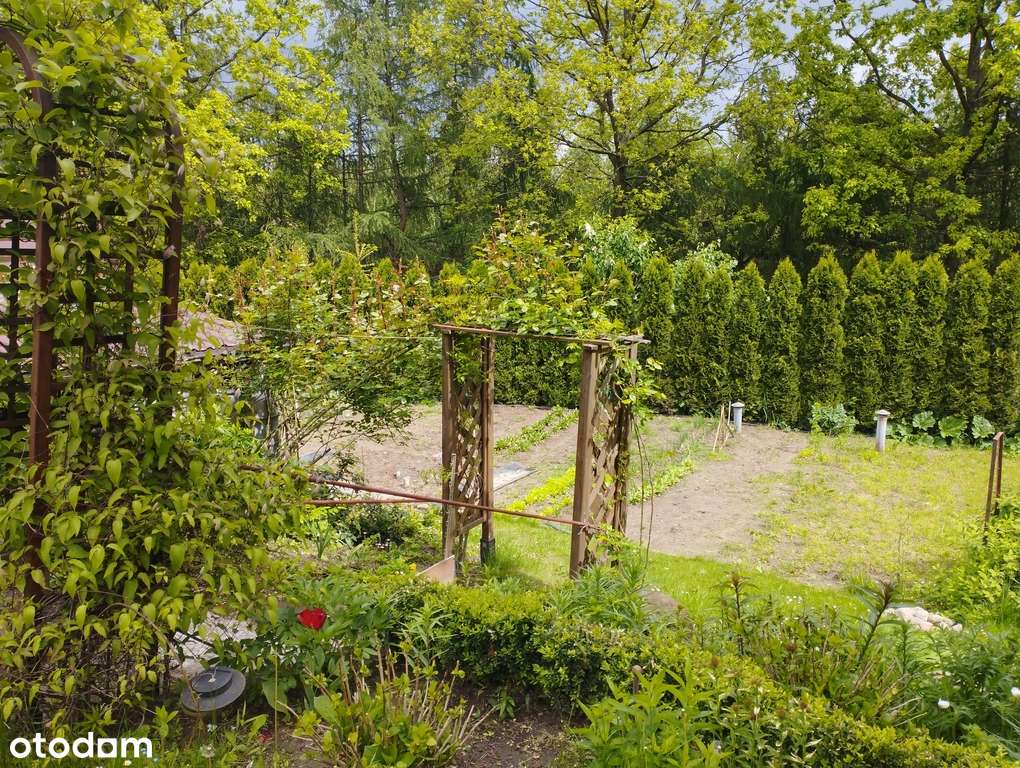 Do sprzedania Dom - Pełny obrazek: 5/20